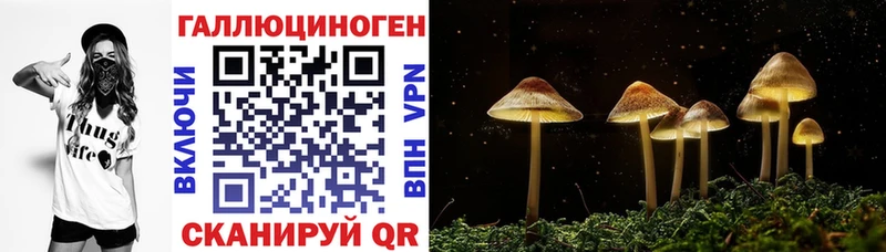 кракен как зайти  купить наркотики цена  Чулым  Псилоцибиновые грибы Magic Shrooms 